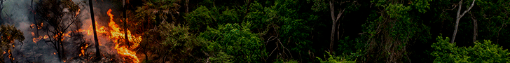 Banner Queimadas 2026